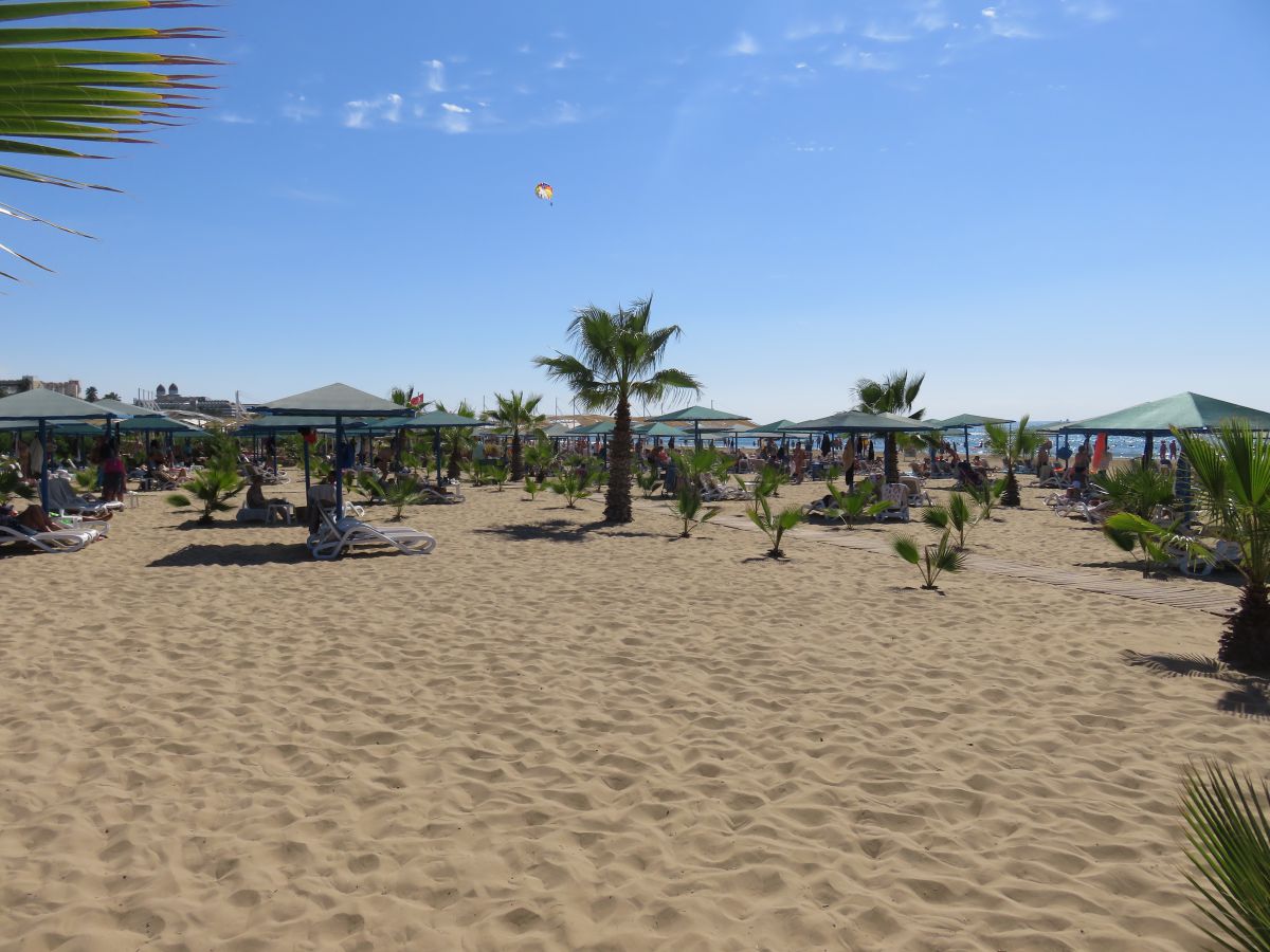 imagini hotel PALOMA OCEANA